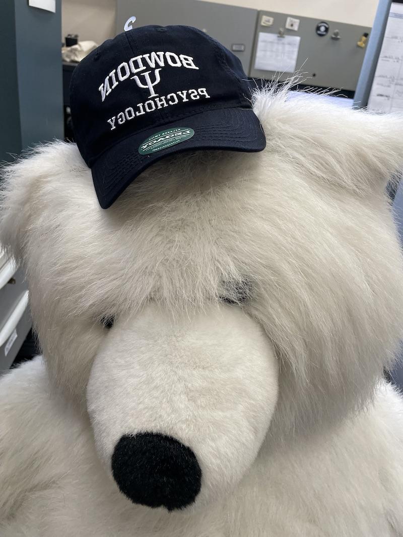 Bowdoin polar bear mascot wearing Psychology hat